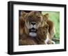 Lioness with Cub-Joe McDonald-Framed Photographic Print