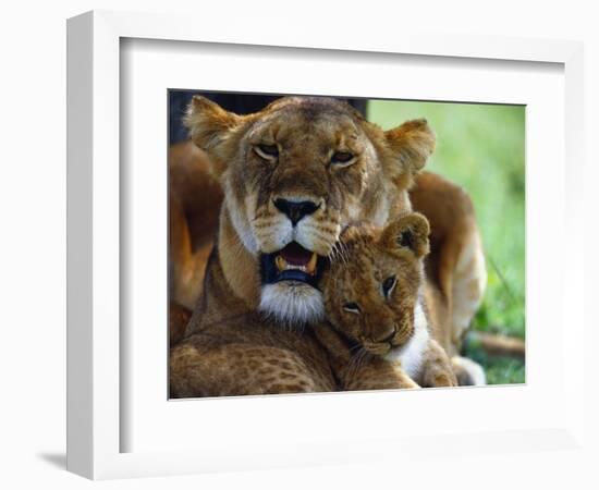 Lioness with Cub-Joe McDonald-Framed Photographic Print