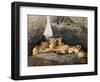 Lioness with Cubs-Harro Maass-Framed Premium Giclee Print