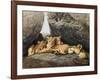 Lioness with Cubs-Harro Maass-Framed Giclee Print