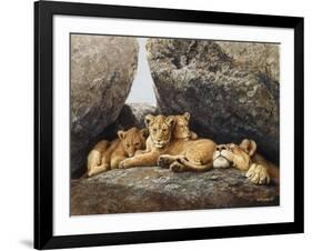 Lioness with Cubs-Harro Maass-Framed Giclee Print