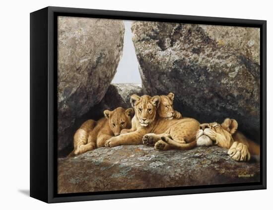 Lioness with Cubs-Harro Maass-Framed Stretched Canvas