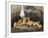 Lioness with Cubs-Harro Maass-Framed Giclee Print