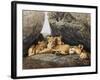 Lioness with Cubs-Harro Maass-Framed Giclee Print