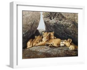 Lioness with Cubs-Harro Maass-Framed Giclee Print