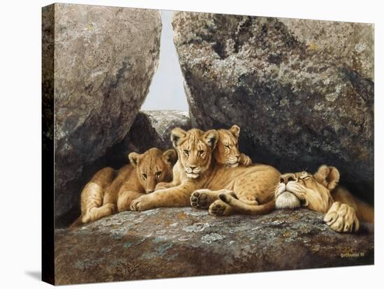 Lioness with Cubs-Harro Maass-Stretched Canvas
