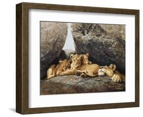 Lioness with Cubs-Harro Maass-Framed Giclee Print