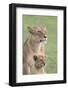 Lioness with its Female Cub, Standing Together, Side by Side-James Heupel-Framed Photographic Print