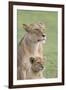 Lioness with its Female Cub, Standing Together, Side by Side-James Heupel-Framed Premium Photographic Print