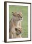 Lioness with its Female Cub, Standing Together, Side by Side-James Heupel-Framed Photographic Print