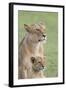 Lioness with its Female Cub, Standing Together, Side by Side-James Heupel-Framed Photographic Print