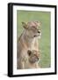 Lioness with its Female Cub, Standing Together, Side by Side-James Heupel-Framed Premium Photographic Print