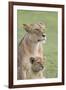 Lioness with its Female Cub, Standing Together, Side by Side-James Heupel-Framed Photographic Print