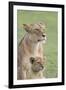 Lioness with its Female Cub, Standing Together, Side by Side-James Heupel-Framed Photographic Print