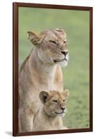 Lioness with its Female Cub, Standing Together, Side by Side-James Heupel-Framed Photographic Print