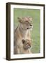 Lioness with its Female Cub, Standing Together, Side by Side-James Heupel-Framed Photographic Print