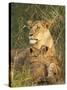 Lioness with Two Cubs (Panthera Leo), Masai Mara Game Reserve, Kenya, East Africa, Africa-James Hager-Stretched Canvas