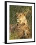 Lioness with Two Cubs (Panthera Leo), Masai Mara Game Reserve, Kenya, East Africa, Africa-James Hager-Framed Photographic Print