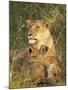 Lioness with Two Cubs (Panthera Leo), Masai Mara Game Reserve, Kenya, East Africa, Africa-James Hager-Mounted Photographic Print