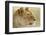 Lioness-null-Framed Photographic Print