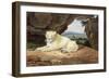 Lioness-Samuel Howitt-Framed Giclee Print