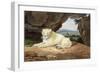 Lioness-Samuel Howitt-Framed Giclee Print