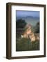 Lionesses in Grass-DLILLC-Framed Photographic Print