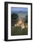 Lionesses in Grass-DLILLC-Framed Photographic Print