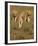 Lionesses on the Hunt Full Bleed-Martin Fowkes-Framed Giclee Print