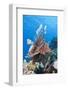 Lionfish (Pterois Miles)-Reinhard Dirscherl-Framed Photographic Print