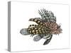 Lionfish (Pterois Volitans), Fishes-Encyclopaedia Britannica-Stretched Canvas