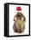 Lionhead Rabbit Wearing Father Christmas Hat-Mark Taylor-Framed Stretched Canvas