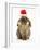 Lionhead Rabbit Wearing Father Christmas Hat-Mark Taylor-Framed Photographic Print