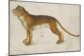 Lionne-Albrecht Dürer-Mounted Giclee Print