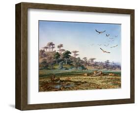 Lions and Dead Quagga-Thomas Baines-Framed Art Print