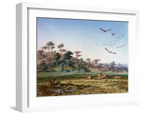 Lions and Dead Quagga-Thomas Baines-Framed Art Print