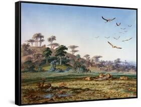 Lions and Dead Quagga-Thomas Baines-Framed Stretched Canvas