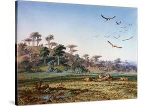 Lions and Dead Quagga-Thomas Baines-Stretched Canvas