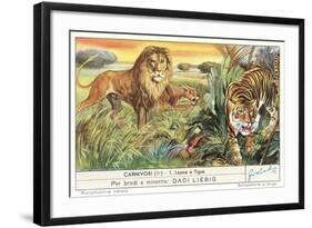 Lions and Tiger-null-Framed Art Print