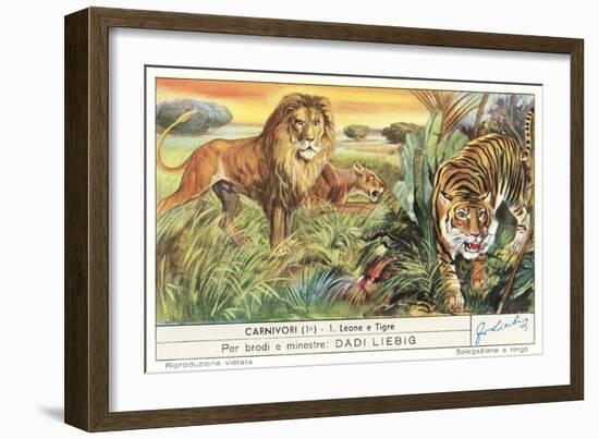 Lions and Tiger-null-Framed Art Print