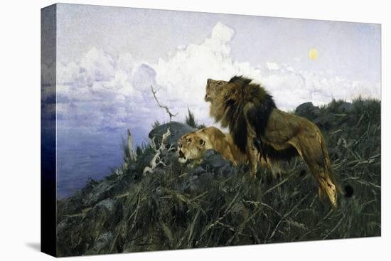 Lions at Dusk-Wilhelm Kuhnert-Stretched Canvas