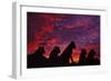 Lions at Sunset-null-Framed Photographic Print