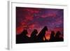 Lions at Sunset-null-Framed Photographic Print