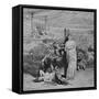 Lions Attacking Martyrs-null-Framed Stretched Canvas