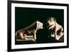 Lions, from Kerkouane, Tunisia, 3rd Century Bc-null-Framed Photographic Print