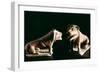 Lions, from Kerkouane, Tunisia, 3rd Century Bc-null-Framed Photographic Print