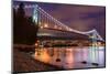 Lions Gate Bridge in Vancouver at Night-JamesWheeler-Mounted Photographic Print