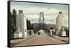 Lions Gate Bridge, Vancouver, British Columbia-null-Framed Stretched Canvas