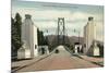 Lions Gate Bridge, Vancouver, British Columbia-null-Mounted Premium Giclee Print