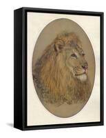 Lions Head, c1896-Frank Paton-Framed Stretched Canvas